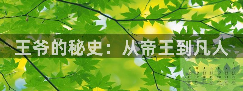 fog漫画免费阅读下拉式奇漫屋：王爷的秘史：从帝王到凡人