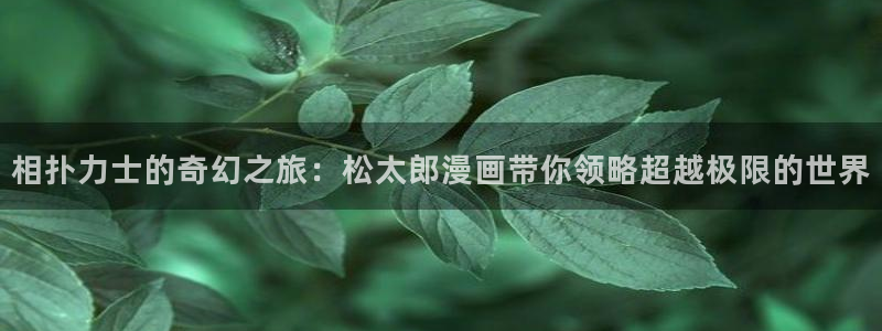 其实我最强漫画免费下拉式奇漫屋：相扑力士的奇幻之旅：松太郎漫画带你领略超越极限的世界
