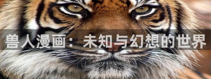 奇漫屋免费漫画网：兽人漫画：未知与幻想的世界