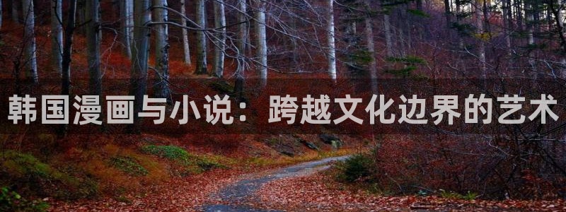 史上最强漫画下拉式奇漫屋：韩国漫画与小说：跨越文化边界的艺术