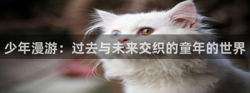 奇漫屋漫画官网