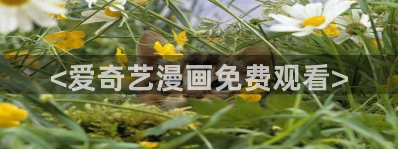 从今天开始当城主漫画免费奇漫屋