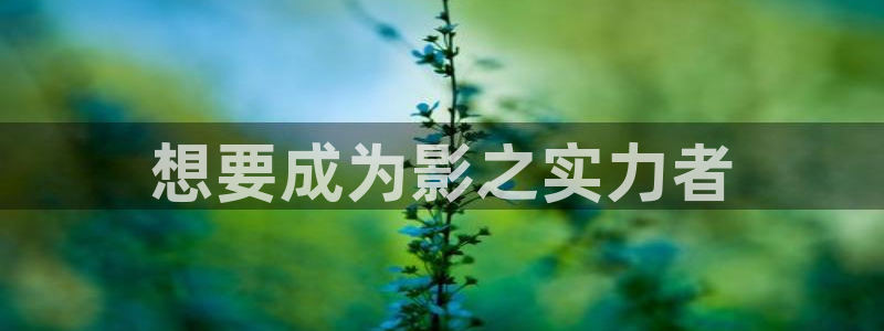 奇漫屋漫画官方入口页面